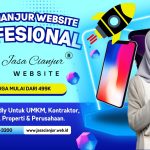 Jasa Buat Web Kota Cianjur Plus SEO